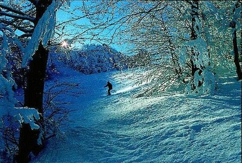 Piemonte, la galassia bianca