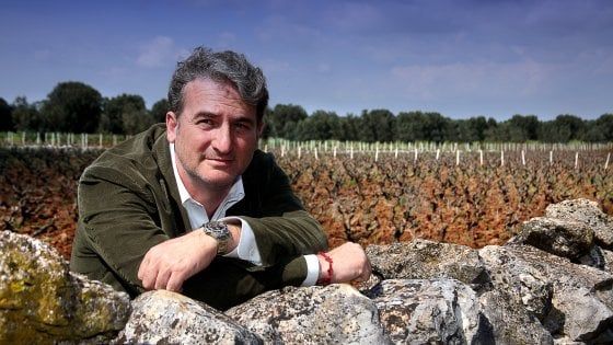 Quando Consorzio fa rima con divorzio: storie di vini “indisciplinati”