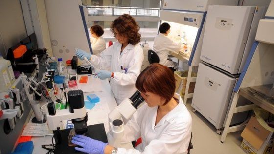 Ricerca: dagli hotel ai fiorai, così in Puglia è stato investito un miliardo e mezzo di fondi europei