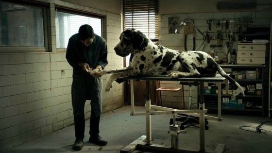 L'Italia ha scelto, agli Oscar per il miglior film straniero ci sarà 'Dogman' di Matteo Garrone