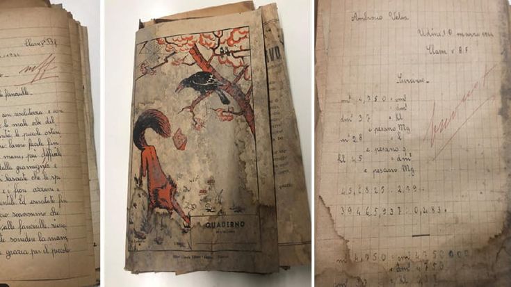 Quaderni del ‘44 nascosti nel muro, la scoperta in una scuola a Udine: “Testimonianza storica”