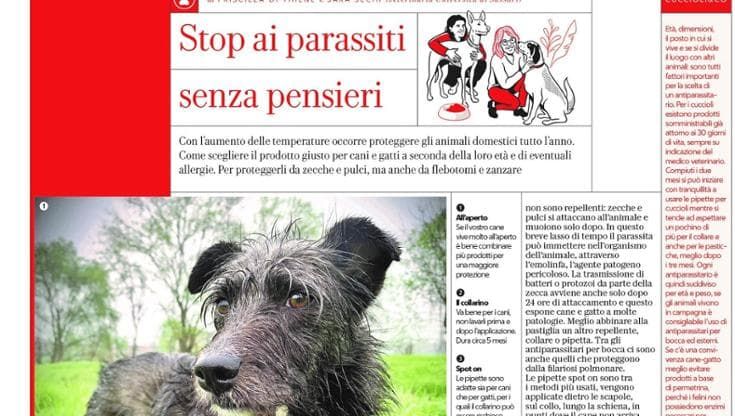 In edicola Salute, tanta medicina e non solo (anche per i nostri animali)