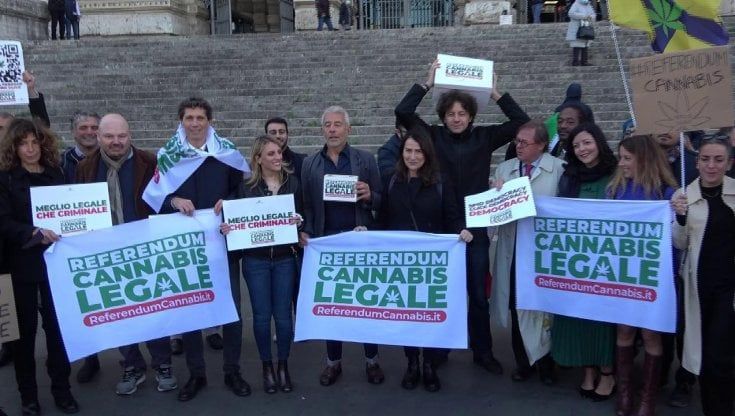Cannabis, perché va legalizzata