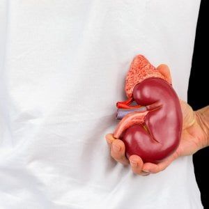  Il danno renale acuto aumenta il rischio di tumore 