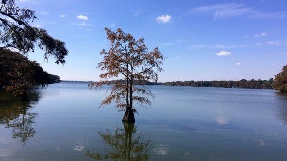 Louisiana, il lago delle diseguaglianze