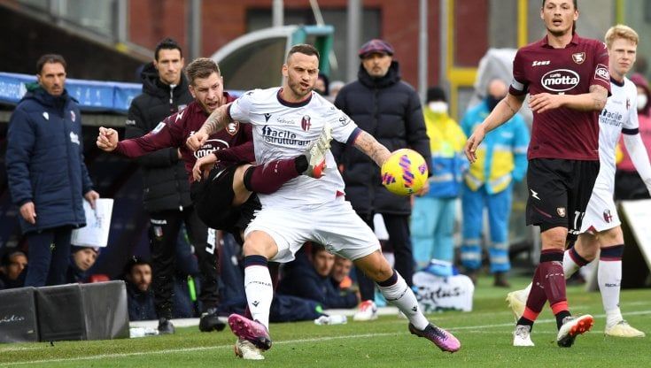 Salernitana-Bologna 1-1: Zortea risponde ad Arnautovic
