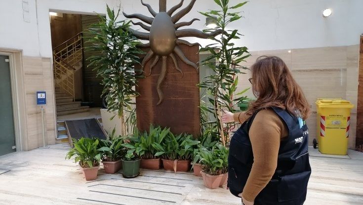 Napoli, rubato l'albero di Natale nel palazzo del Consiglio comunale