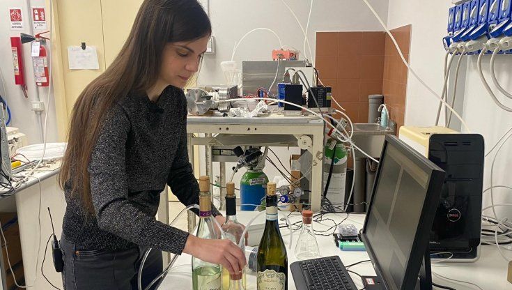 Un naso elettronico per valutare il vino: l'invenzione della ricercatrice Sonia Freddi 
