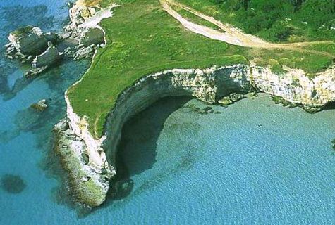 Vacanze da cogliere al volo