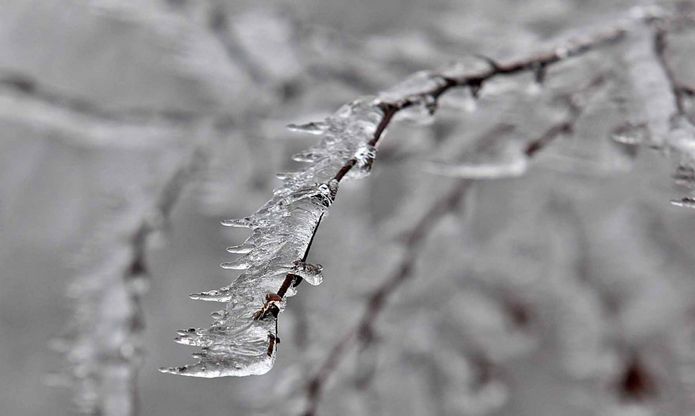 Inverno sui monti liguri, i ricami della galaverna