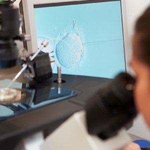 Bella,  alta e intelligente: cercasi donatrice di ovuli