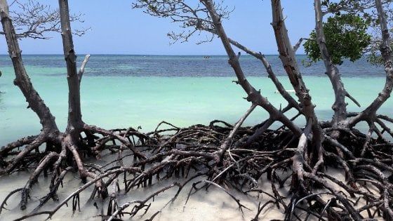 Capodanno a Cuba, tra ricordi della Rivoluzione, musica nelle strade e gioia di vivere