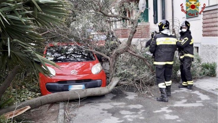 Maltempo:Caserta;vento forte,danni e tante chiamate a vigili