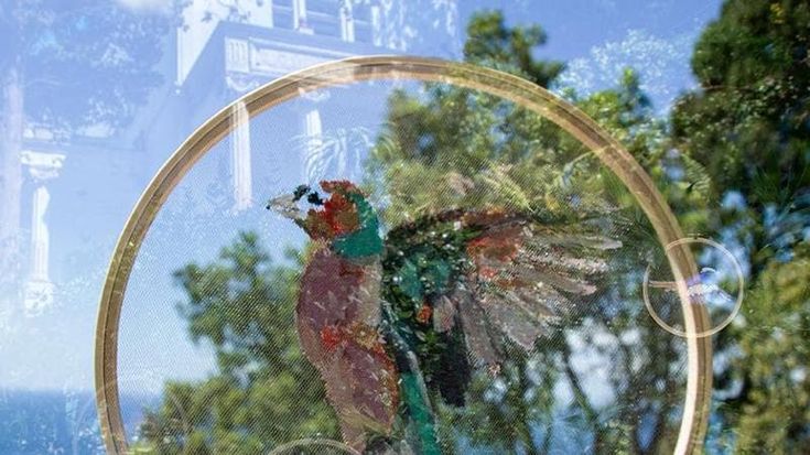 Capri, duecento uccelli dipinti a mano, esposti a Villa Lysis