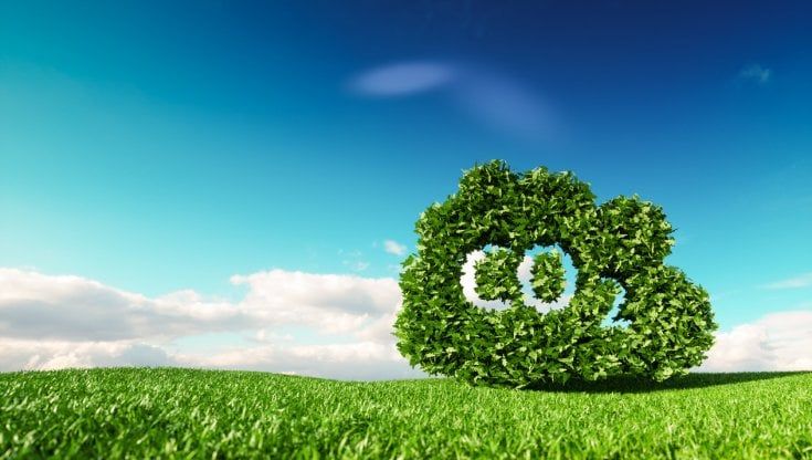 Biomasse, un comparto ancora poco valorizzato