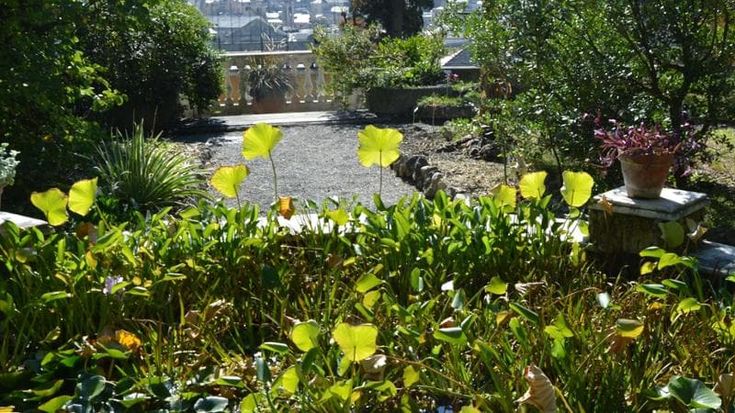 Verde Ovunque all’Orto botanico: nasce il festival della biodiversità