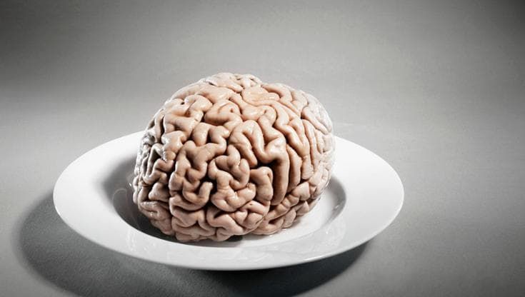 Ecco come agiscono nel cervello i nuovi farmaci orali contro l’obesità