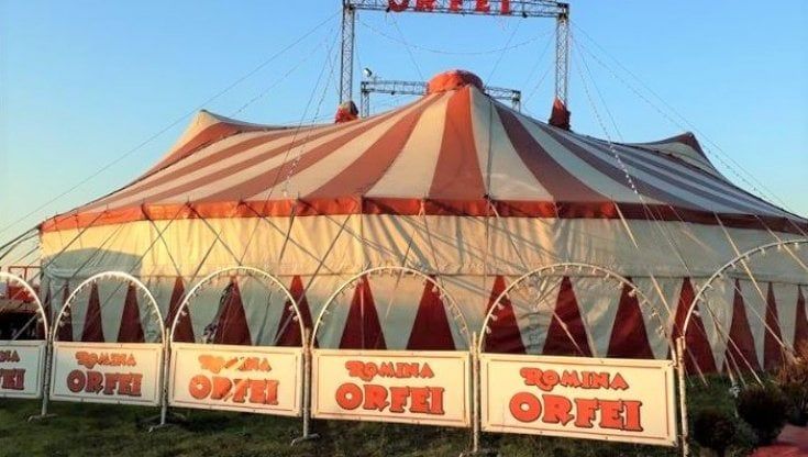 Covid, Coldiretti Campania e circhi in piazza per difendere tigri, zebre e giraffe 