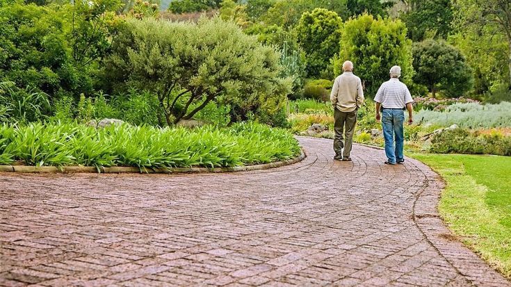 Alzheimer: le patologie vascolari possono favorirne la comparsa
