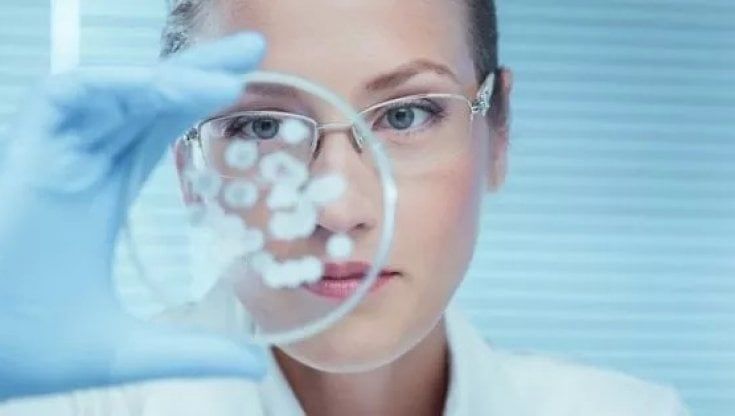 Candida Auris, che cos'è e quali sono i sintomi del fungo killer