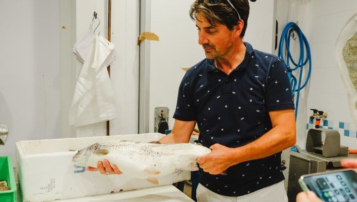 I pescatori del lago Maggiore: "Serve un'acquacoltura sostenibile contro lo spopolamento"