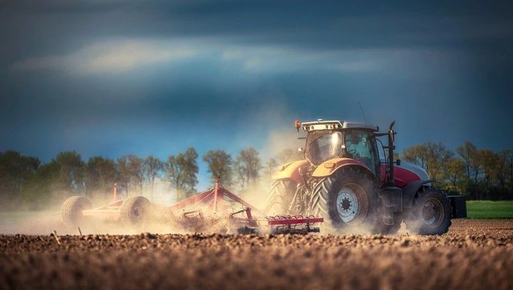 Economia, a Parma segno più per agricoltura ed esportazioni 