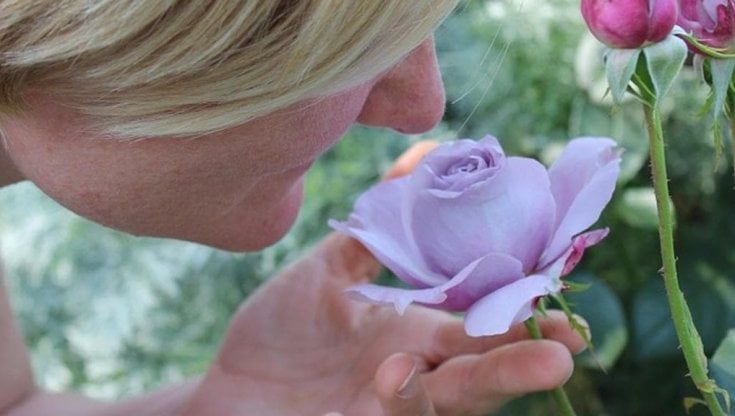 Perdita di gusto e olfatto per Covid, la causa potrebbe essere genetica