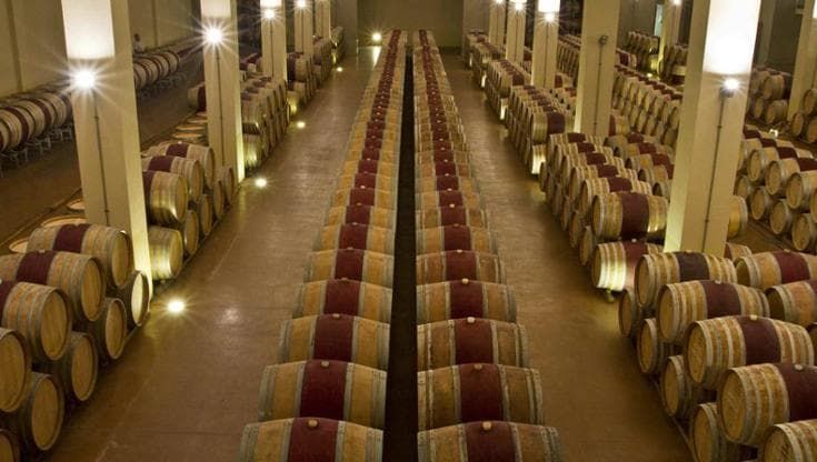 Il grande colpo della banda del vino: rubate ad Antinori bottiglie di pregio per 5 milioni di euro
