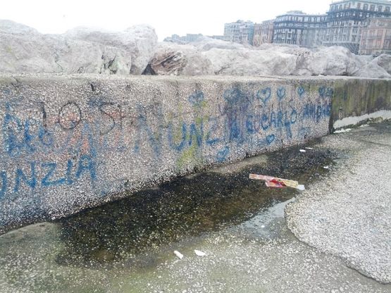Il degrado del Molosiglio<br />bottiglie di plastica e panni stesi
