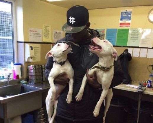 Balotelli adotta due cani: il toto-nomi su Twitter