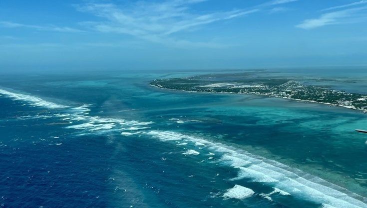 In Belize per il mare da sogno? No, per i piaceri della tavola