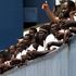 Migranti, procedura di infrazione Ue contro l'Italia su mancata registrazione