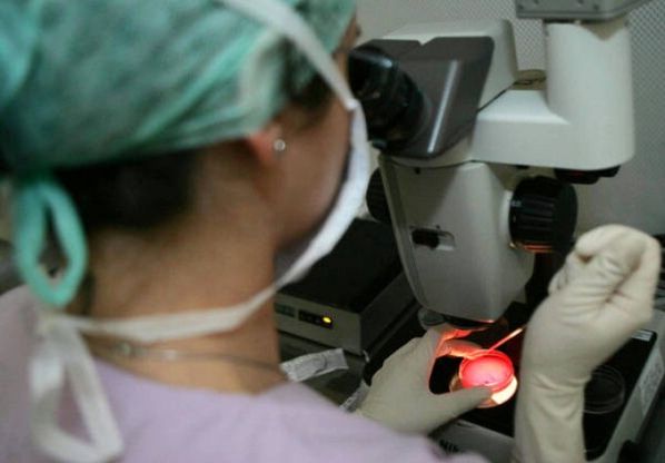 Tbc, l'Oms: "La multiresistenza non cala. Servono test rapidi"