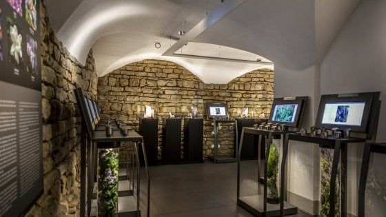 Dalla radici agli incensi, a Firenze apre il primo museo italiano degli odori 