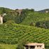 Un Prosecco che ‘viaggia nel tempo’