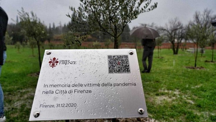 Firenze è nato il bosco della memoria: un parco dedicato ai morti di Covid