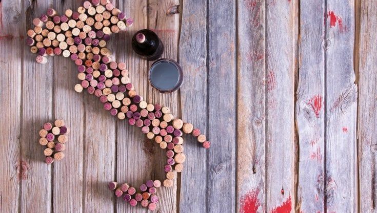 Export da record per vini italiani nel primo semestre (+16%): verso quota 7 miliardi nel 2021
