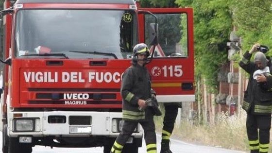 Maltempo: cade albero in Irpinia, evacuata un'abitazione