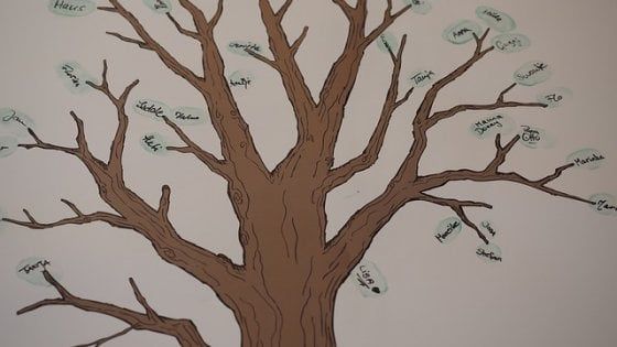 Ricostruito il più grande albero genealogico dell'umanità