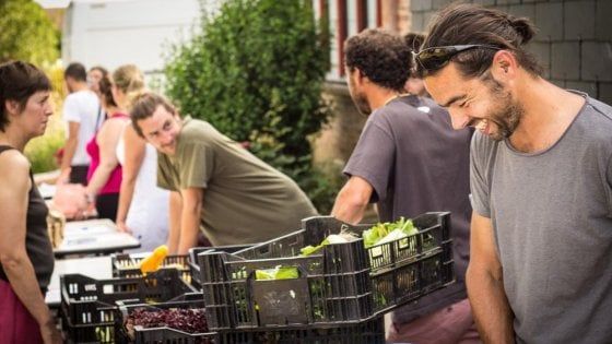Il web che fa bene ai contadini: l’Alveare che dice Sì cresce del 62%
