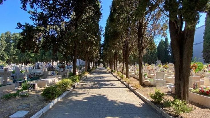 Bari, nel cimitero aiuole aride e senza fiori: dal Comune appello ad agenzie e marmisti per adottarne una