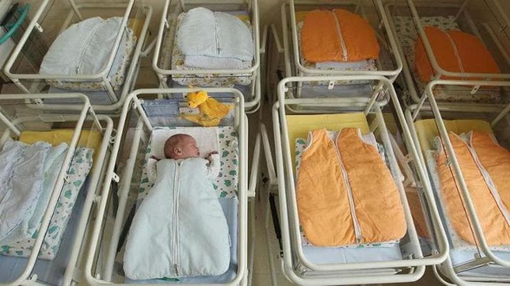 Budget bill, from €100 for babies to the for the elderly’s healthcare costs: all the measures