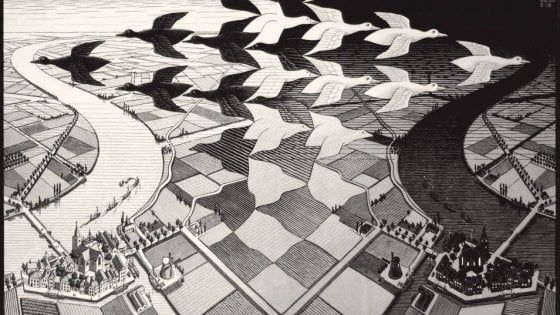 Pisa, prorogata la mostra di Escher