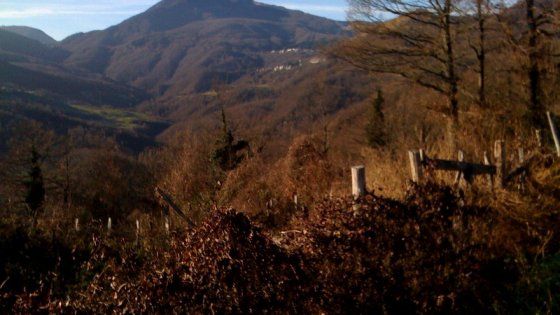 Quando l'inverno si fa estate