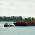 Swale, un'isola verde a NY grazie al crowdfunding
