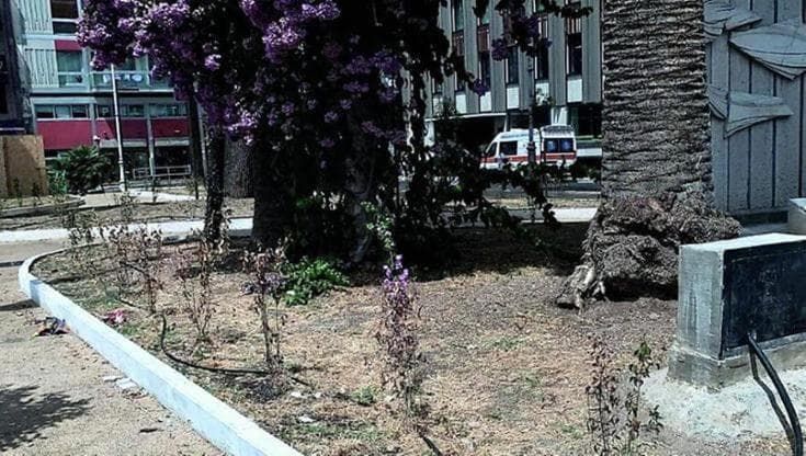 “Impianto di irrigazione manomesso”. Le piante di piazza Moro stanno morendo a causa dei vandali