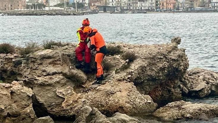 Cane smarrito e infreddolito su uno scoglio a Sferracavallo, salvato dai vigili del fuoco