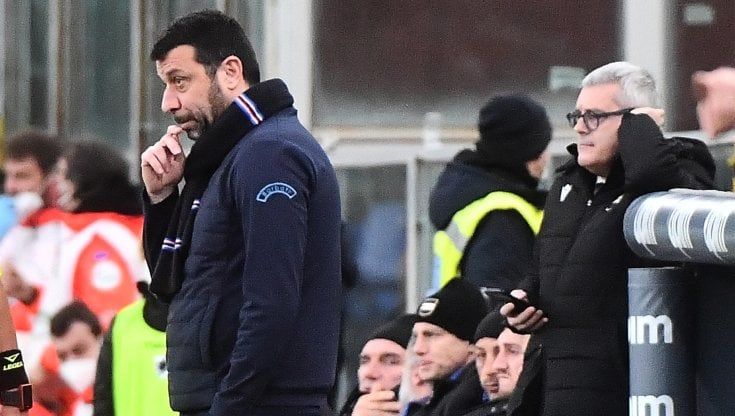 Sampdoria, D'Aversa: "In queste sfide serve la giusta mentalità"