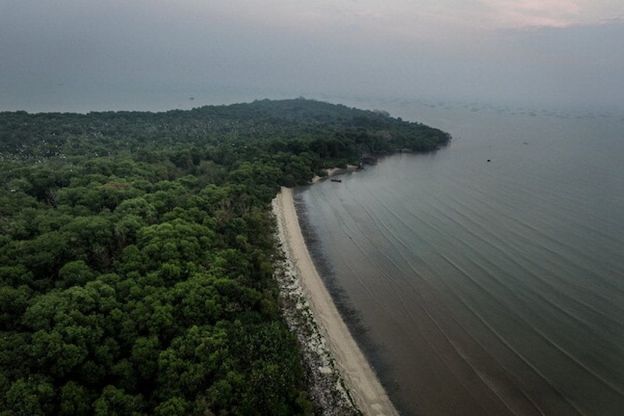 Acquacoltura in Indonesia, il risvolto amaro della "rivoluzione blu" a Java