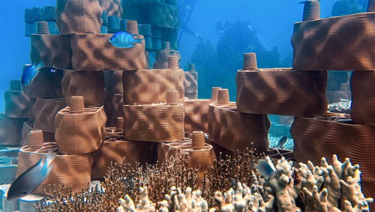 I mattoni stampati in 3D per ridare vita alle barriere coralline